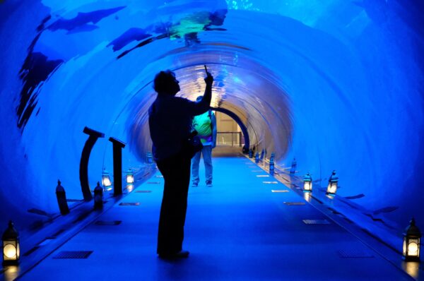 UAE tourism sector operates in line with regulatory frameworks