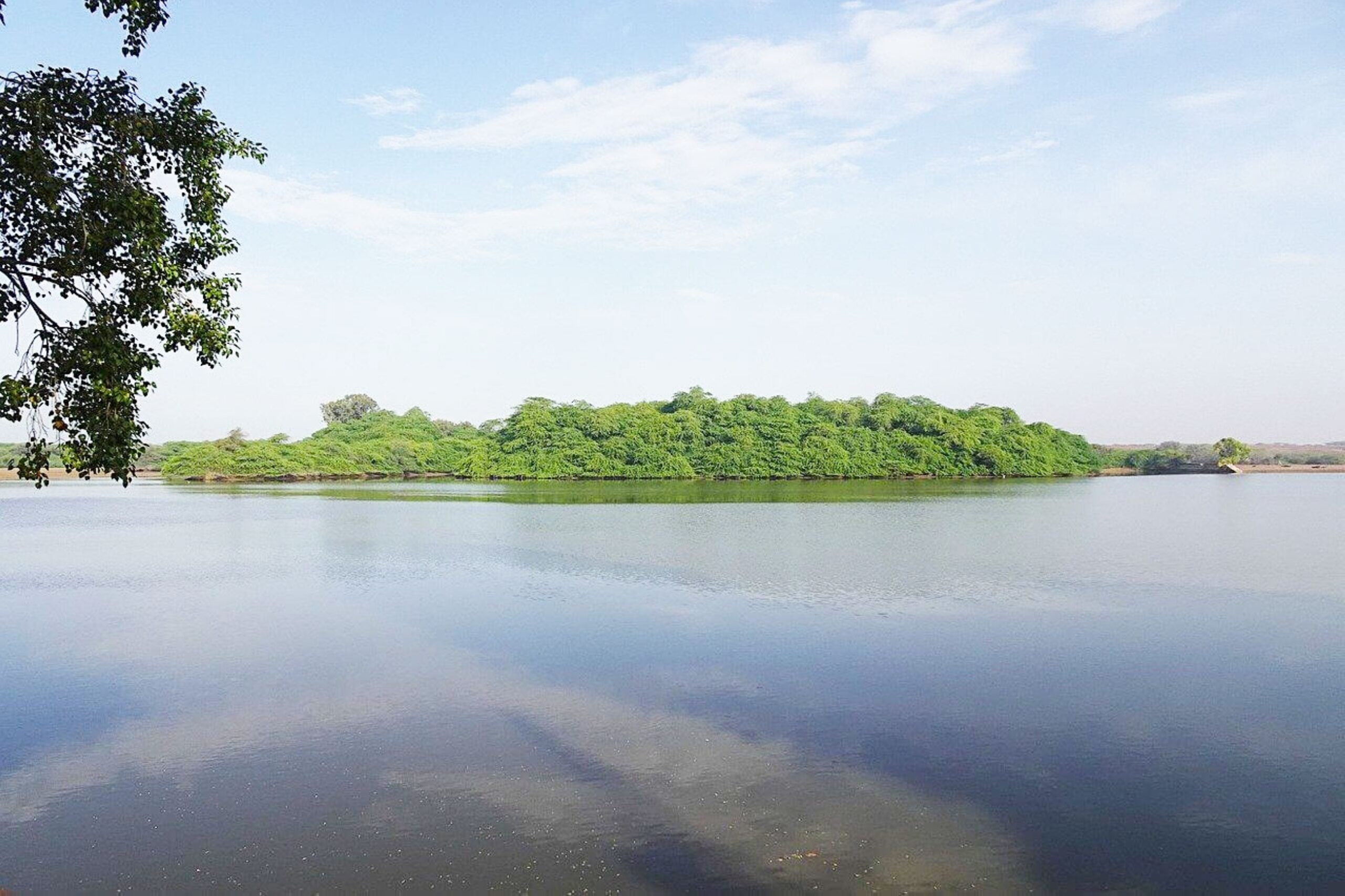 Man facing financial crisis kills three daughters by thro…