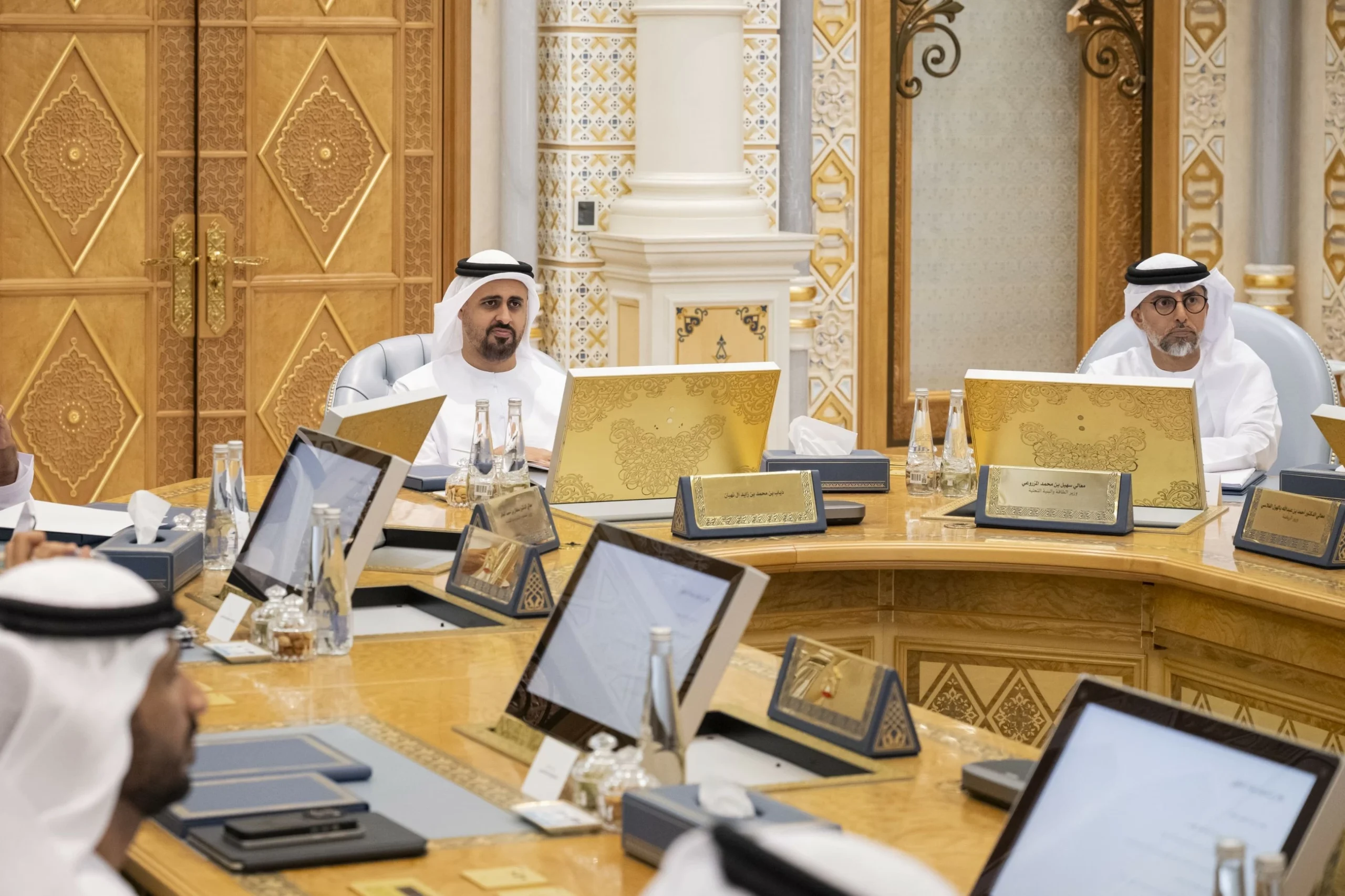 Entrepreneurship, investment attraction strategies approv…