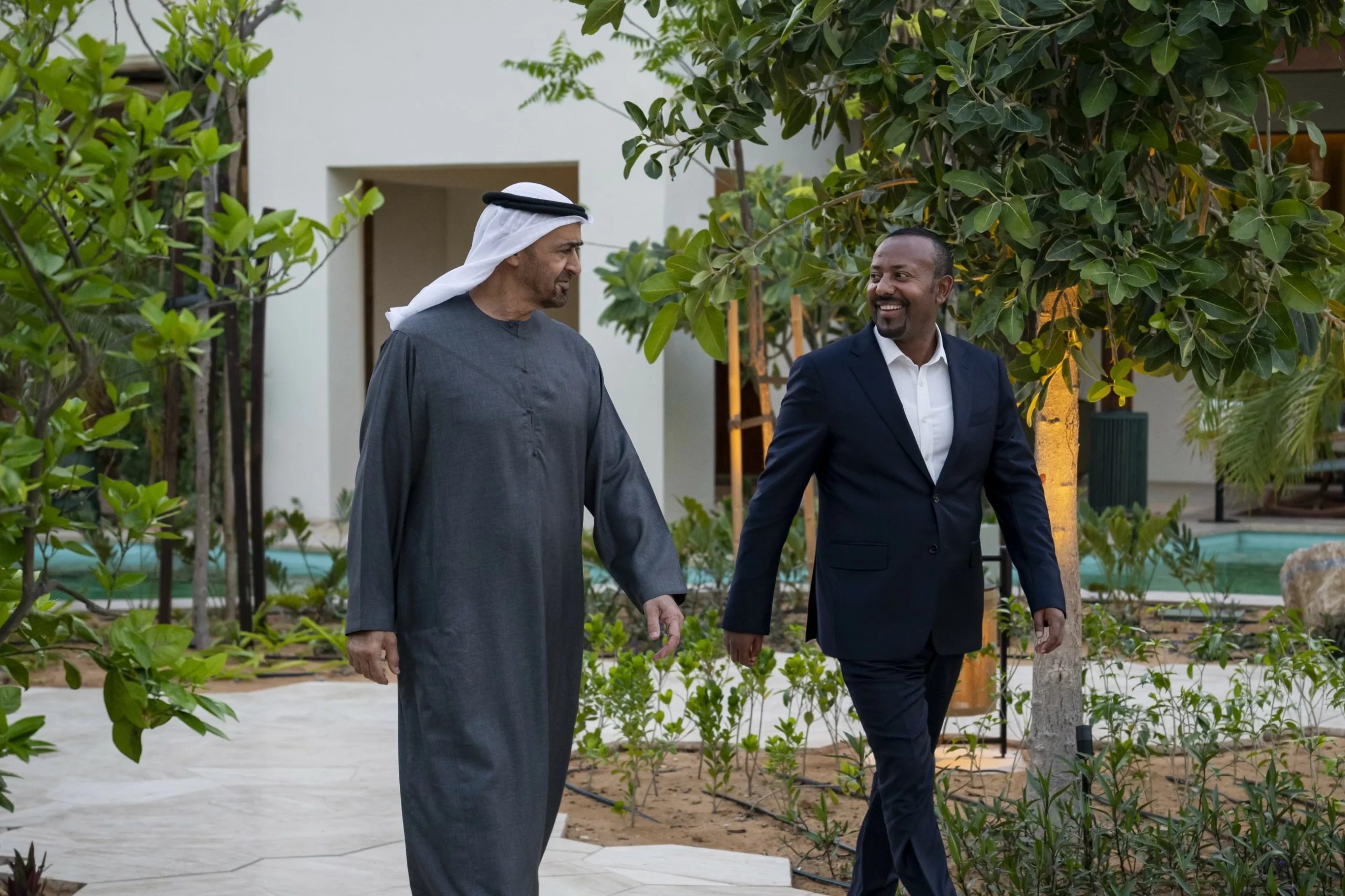 UAE President and Ethiopian PM discuss cooperation and re…