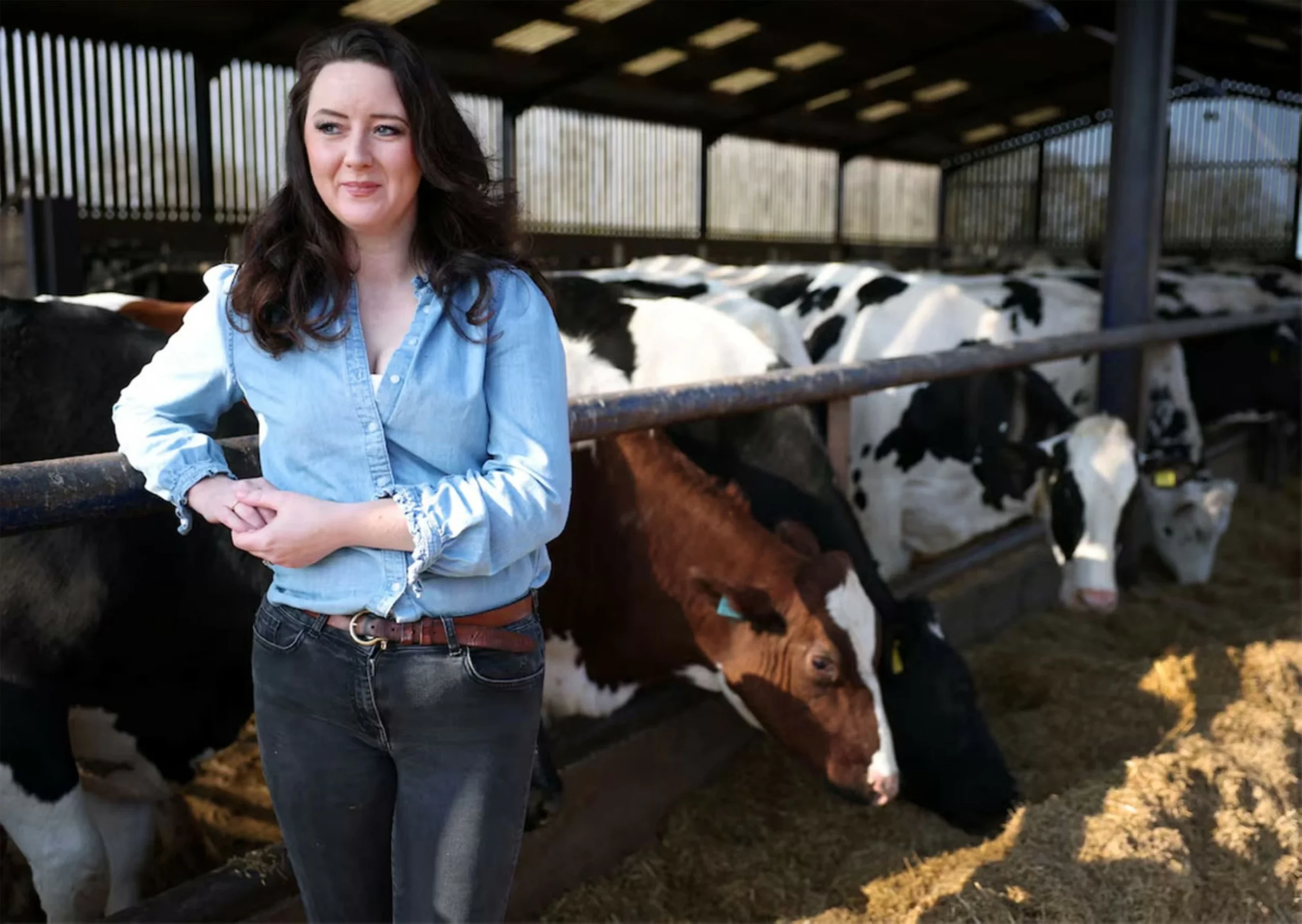 Milk price slide leaves dairy farmers on the brink