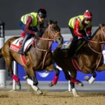 Forever Young, Calandagan and Rebel’s Romance among like…