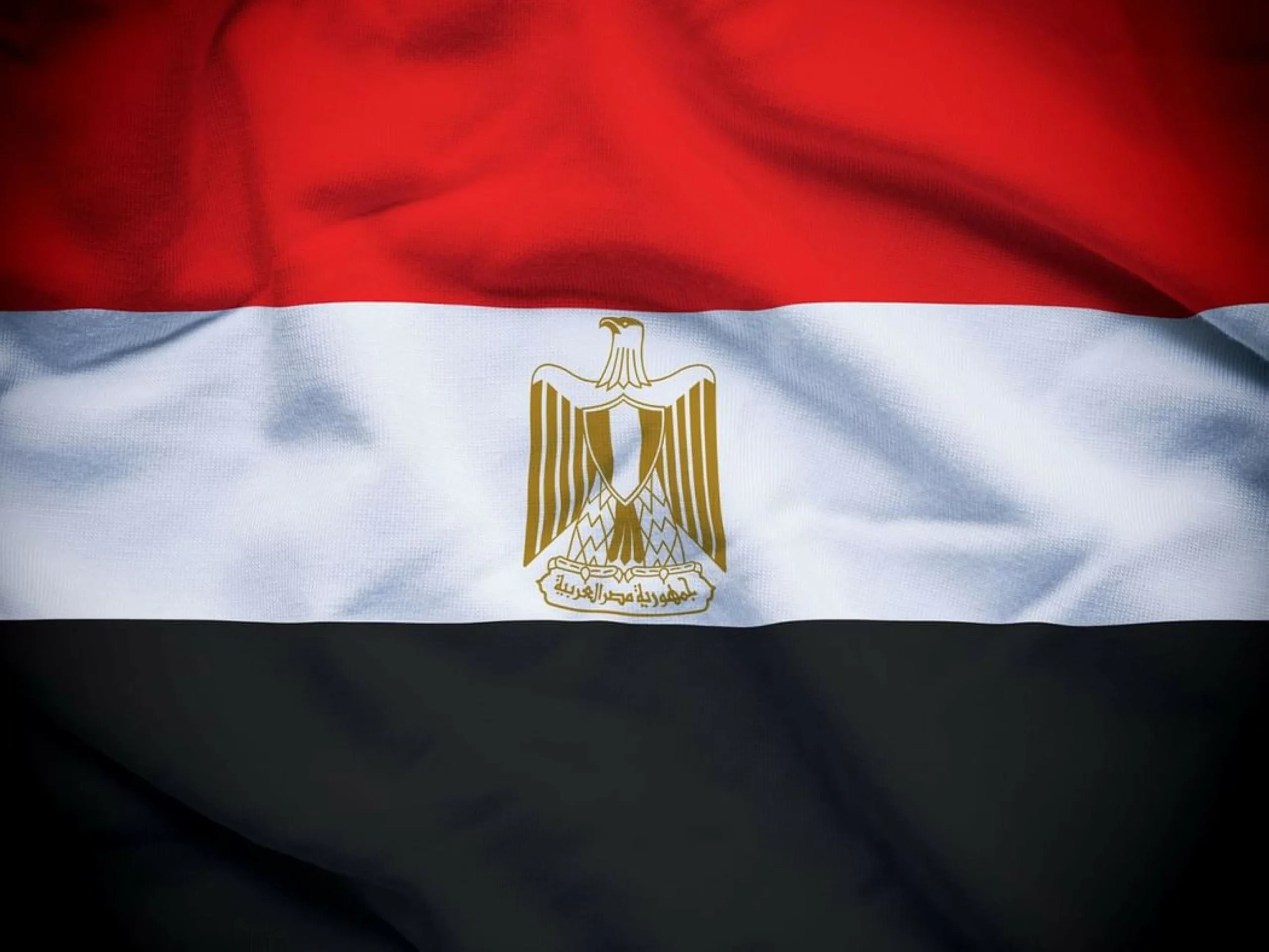 Egypt slams terrorist plots targeting UAE, Kuwait and oth…