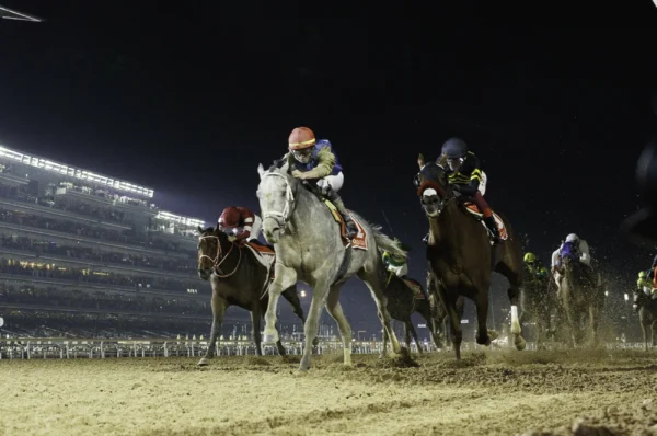 100 horses to compete in 30th Dubai World Cup with total …