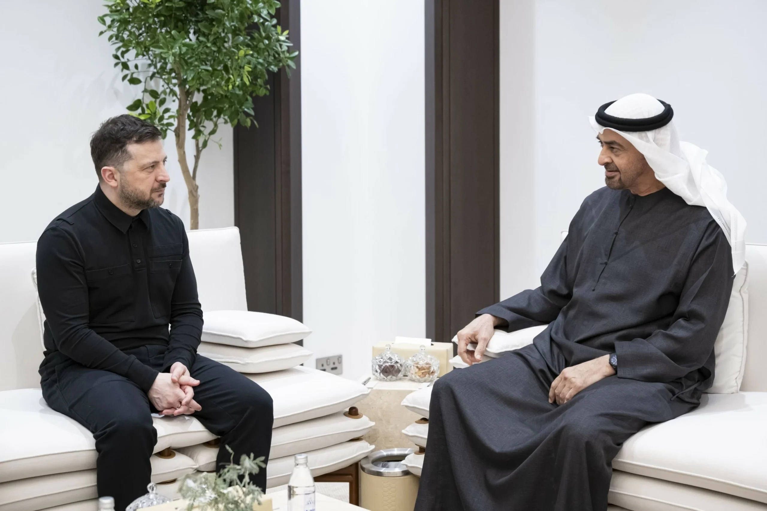 UAE and Ukrainian Presidents discuss cooperation and regi…
