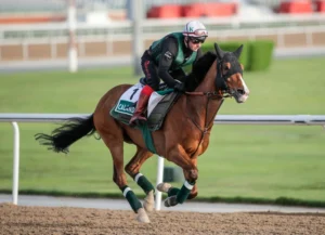 Calandagan starts out on defence of its …