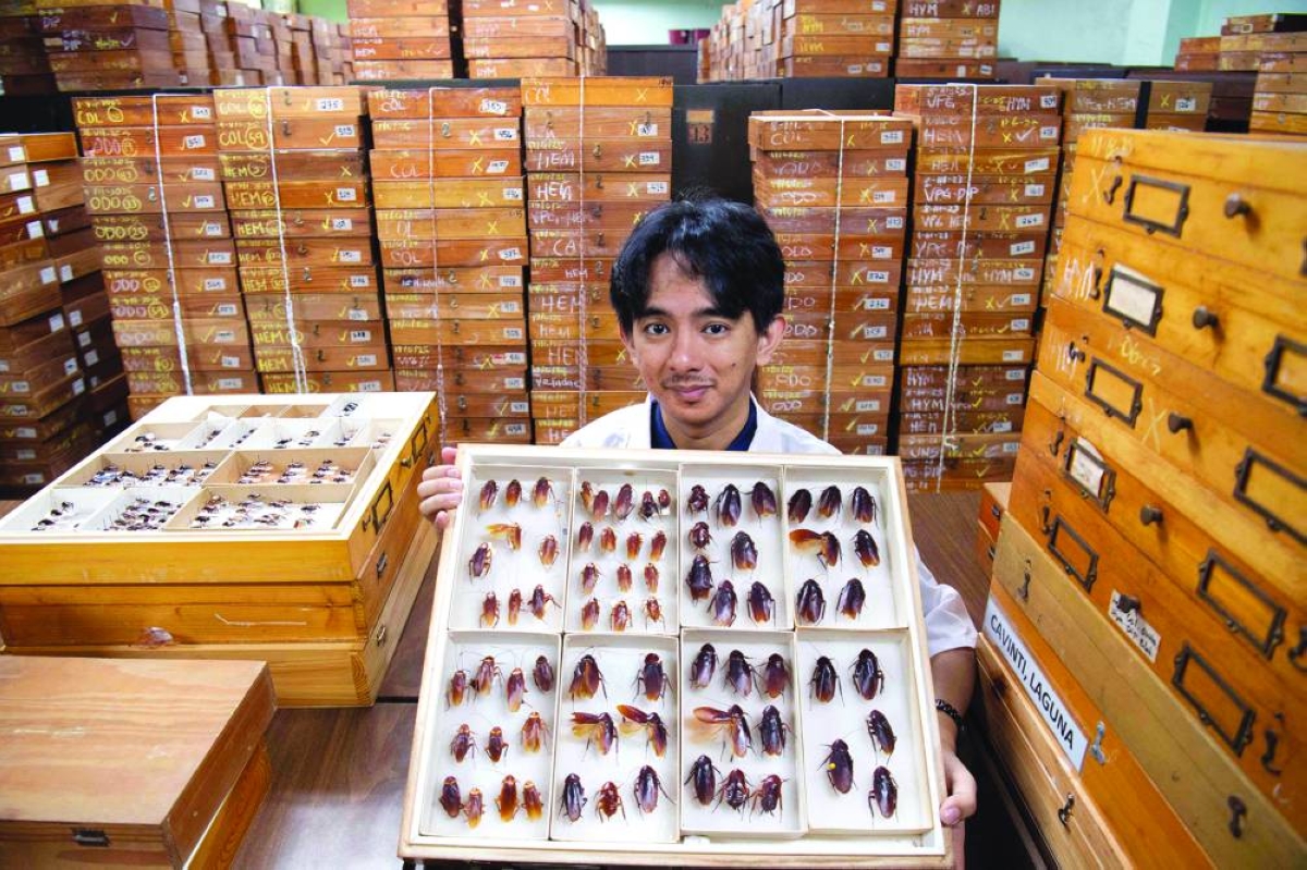 Philippines’ ‘Cockroach Lord’ goes to bat for misunderstood bugs