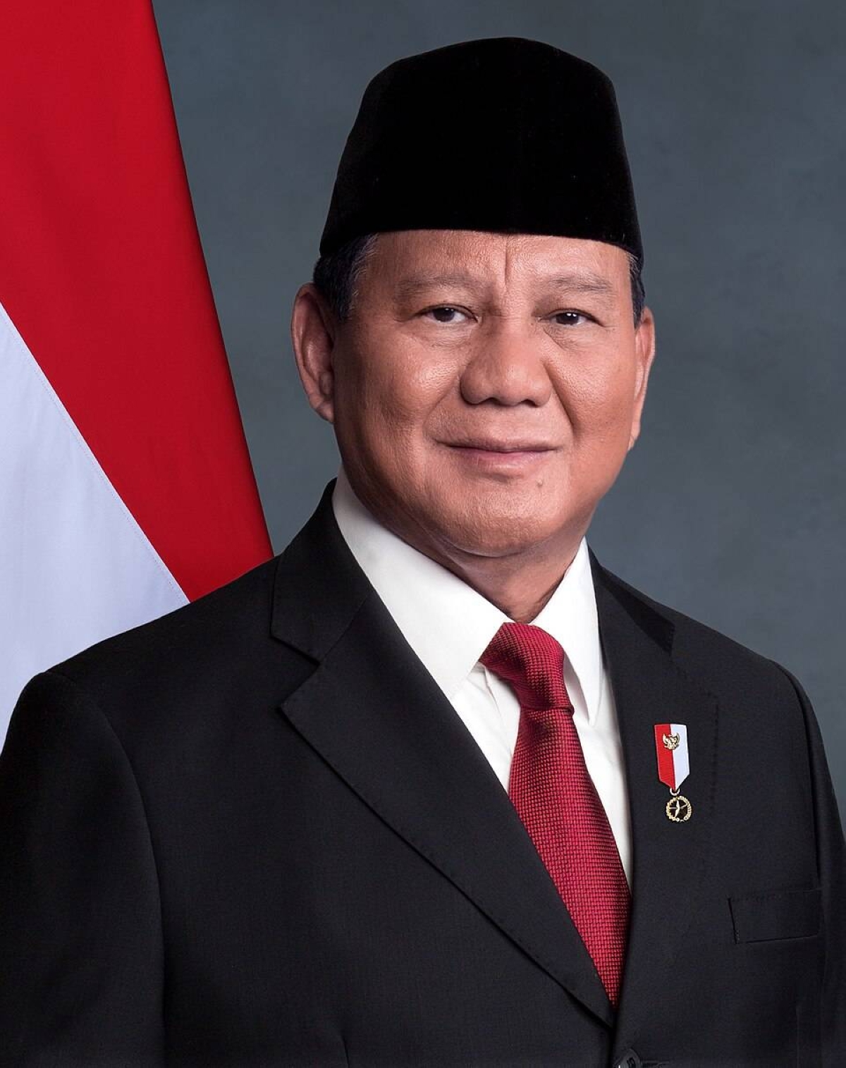 Japan, Indonesia affirm alignment in addressing situation in Middle East