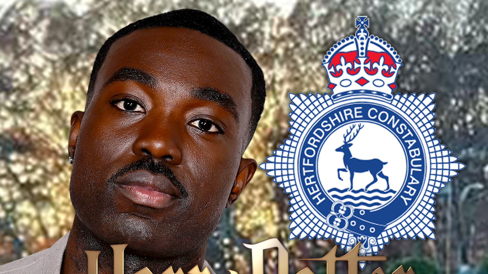 ‘Harry Potter’ Series Racist Death Threats Get UK Police Attention