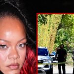 Rihanna’s Beverly Hills Home Targeted in Shooting, Suspect in Custody