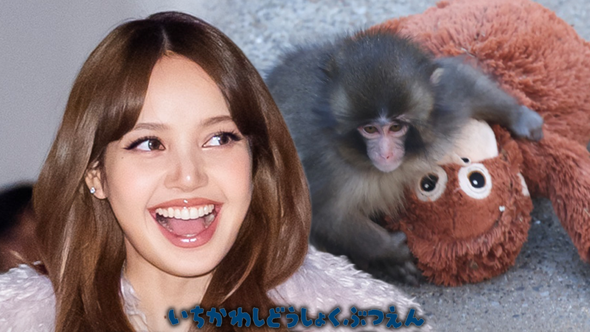 BLACKPINK’s LISA Visits Punch the Monkey, Brings Orangutan Stuffed Animal