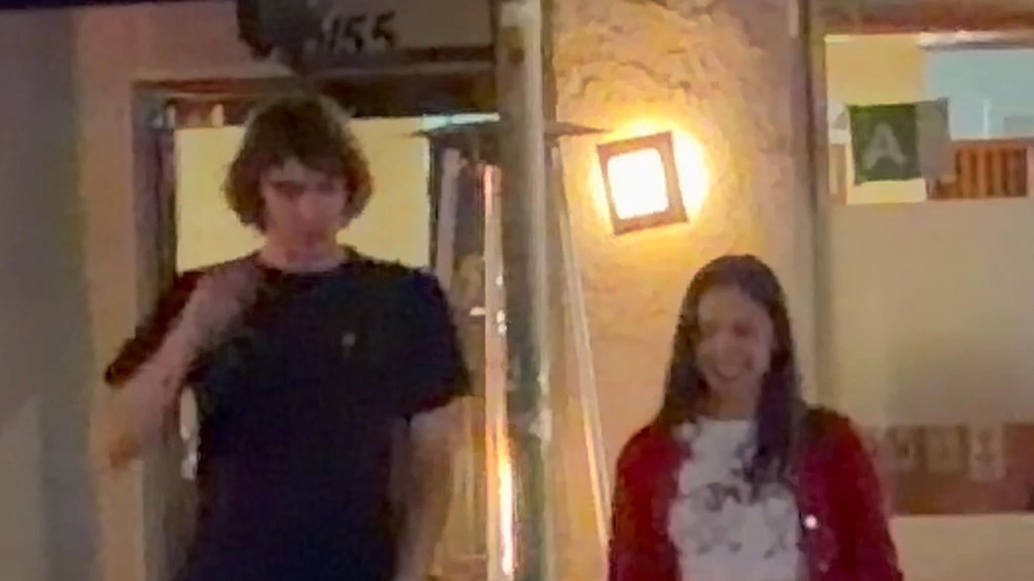 Olivia Rodrigo Spotted on Dinner Date With Geese Singer Cameron Winter