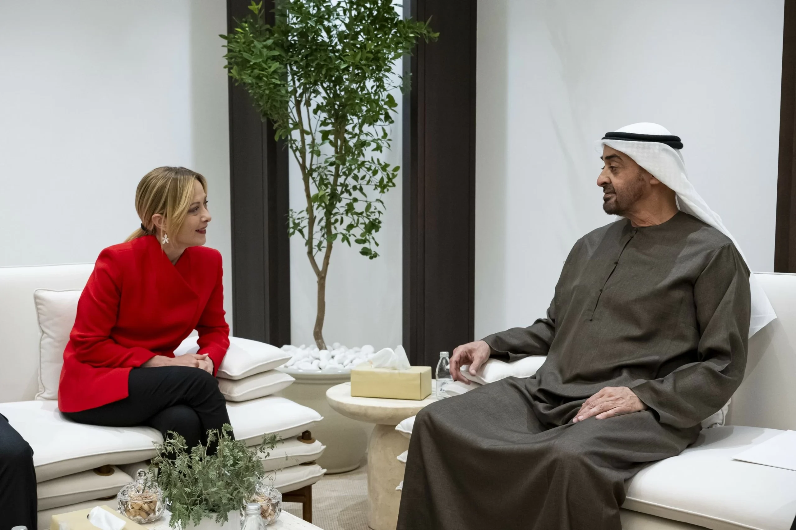 UAE President, Italian Prime Minister discuss regional de…