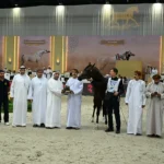 24 qualified for final Dubai Arabian Horses Stud stars on…