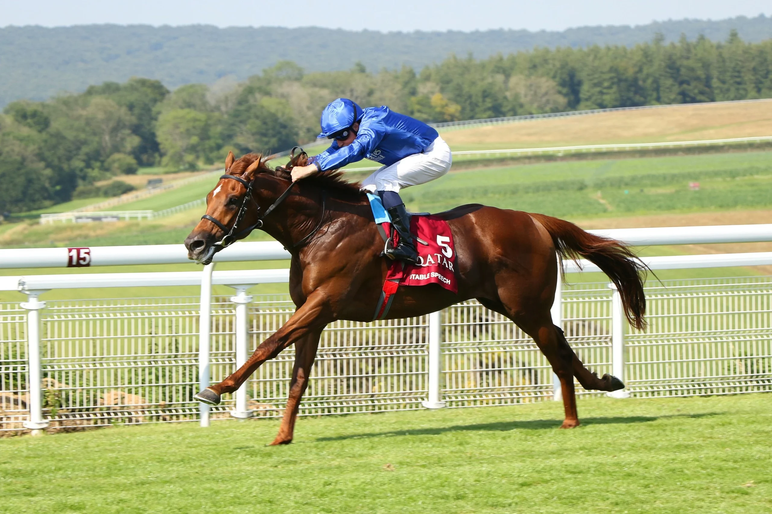 Notable Speech, Aomori City look to make their mark in Keeneland