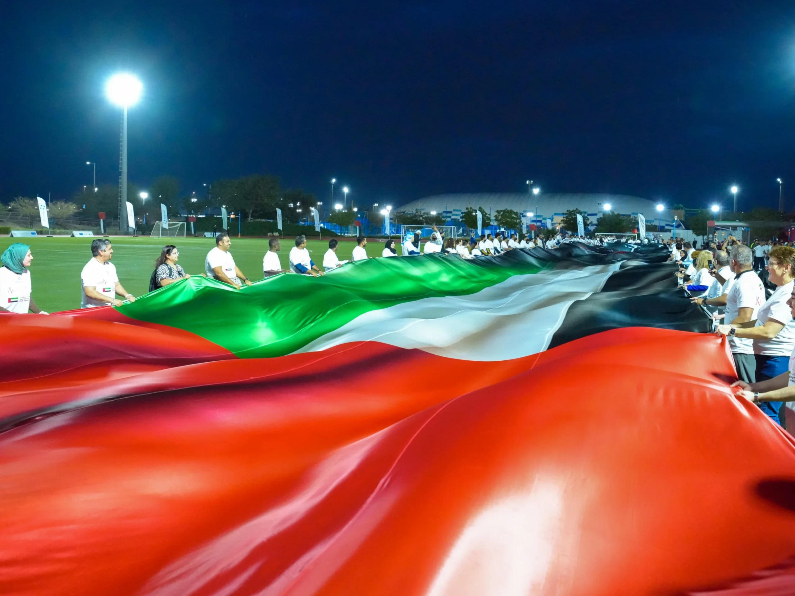 Healthcare workers flag love for UAE with new Guinness record