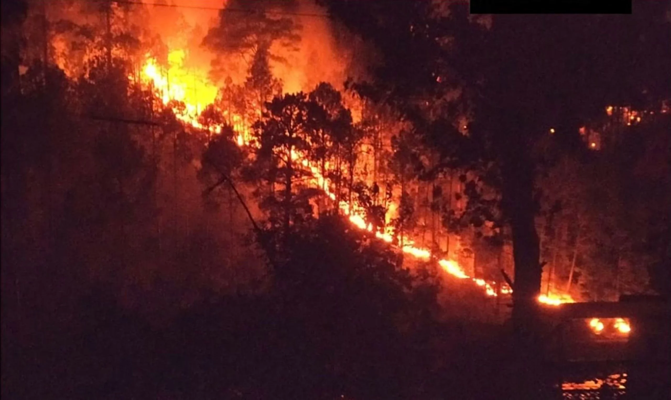 Winter forest fires indicate shifting climate patterns