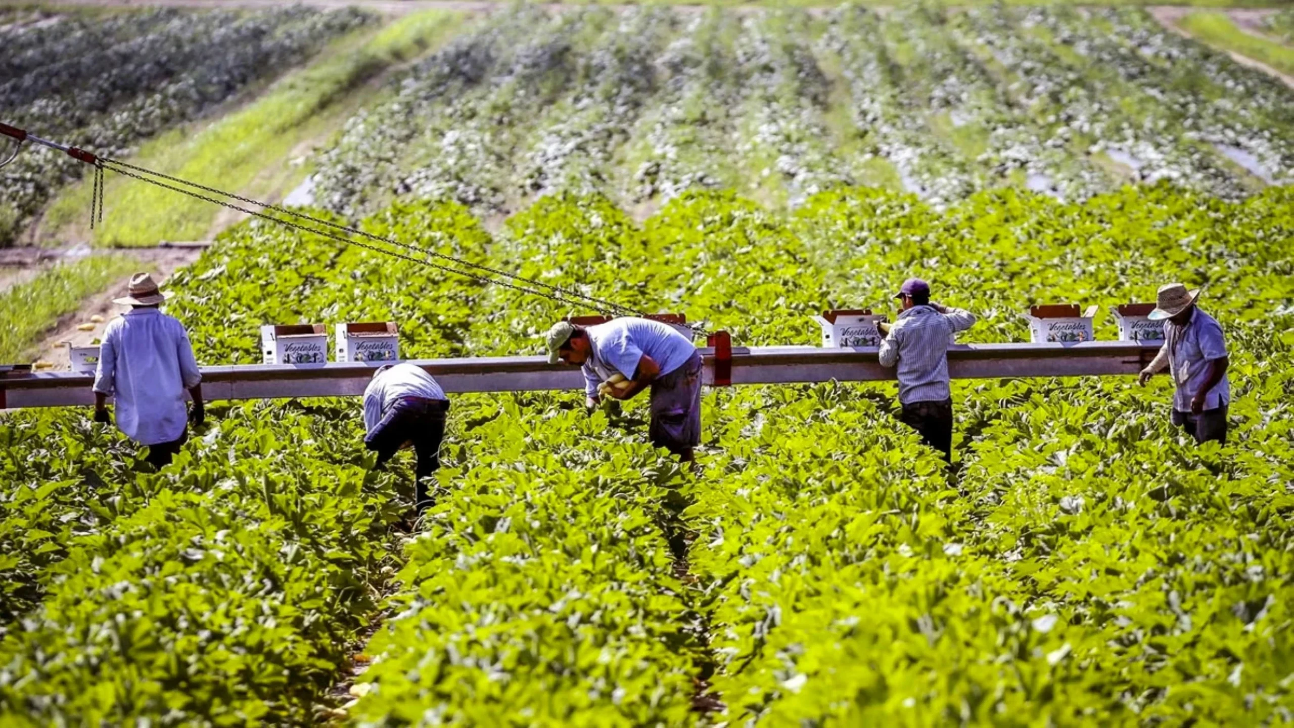 US farmers strained as fertilizer costs surge on war