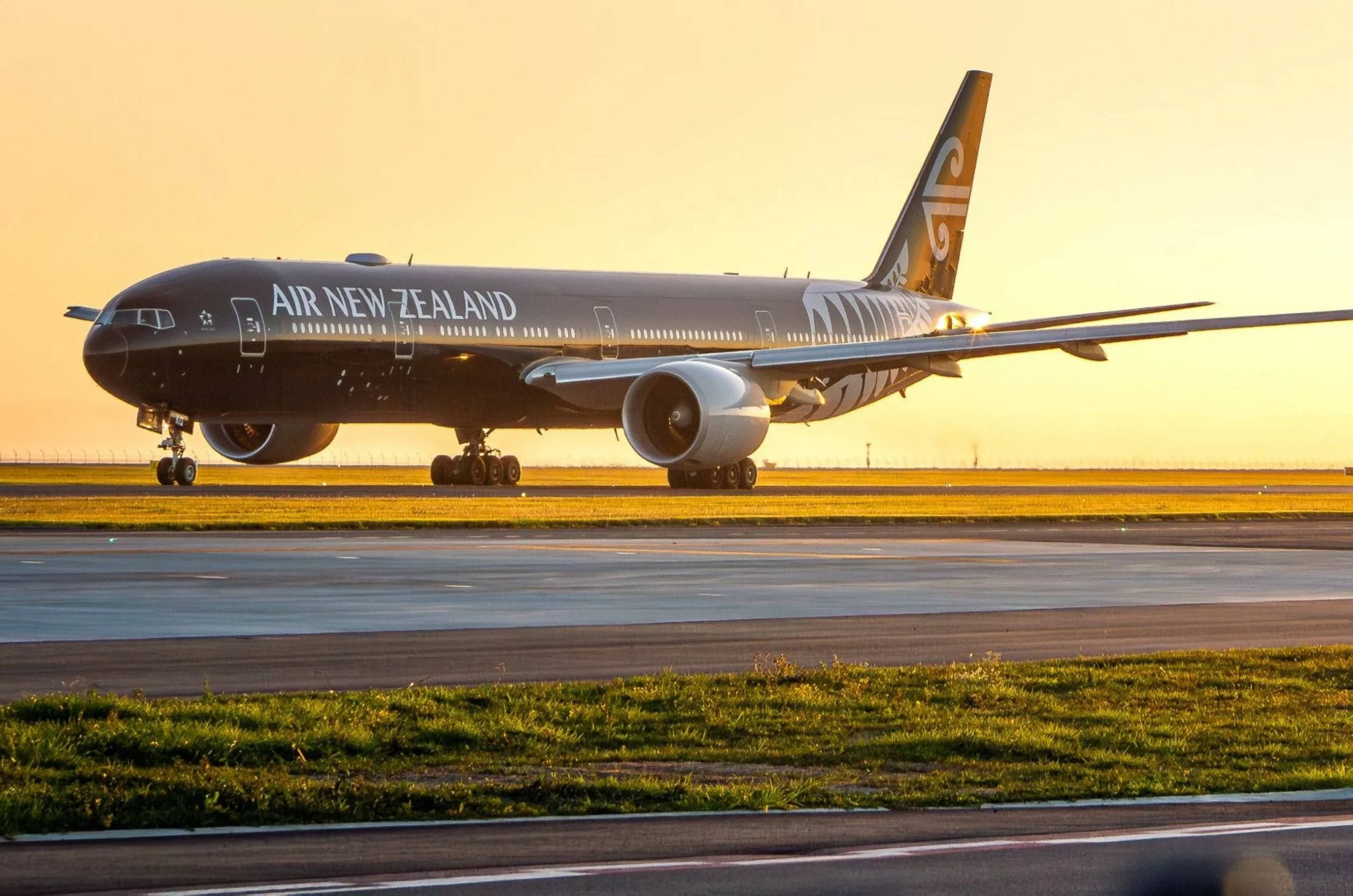 Air New Zealand introduces bunk beds for economy passengers