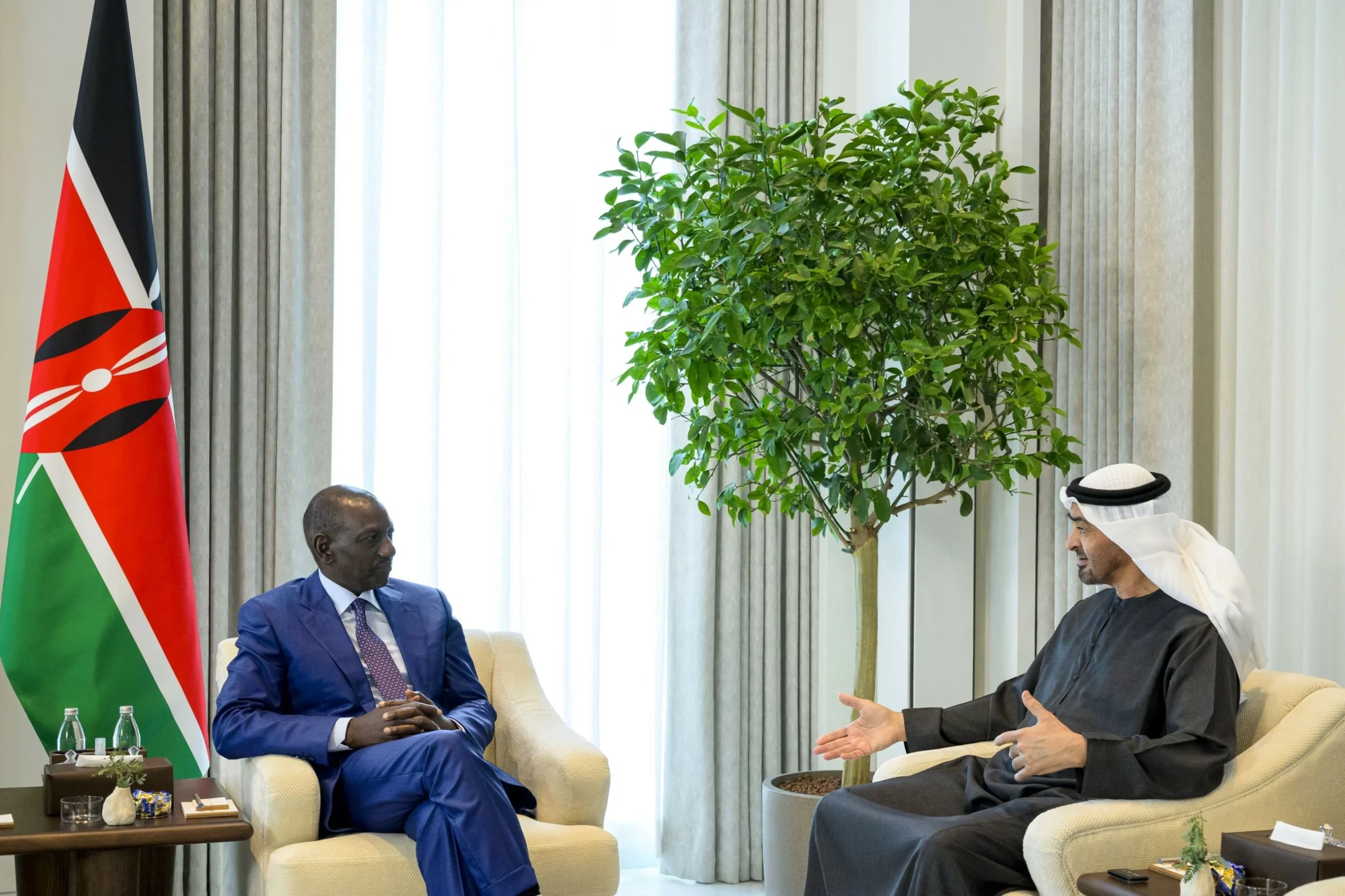 UAE and Kenyan Presidents discuss cooperation under CEPA …