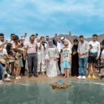 Fujairah releases rehabilitated sea turtles into natural habitat