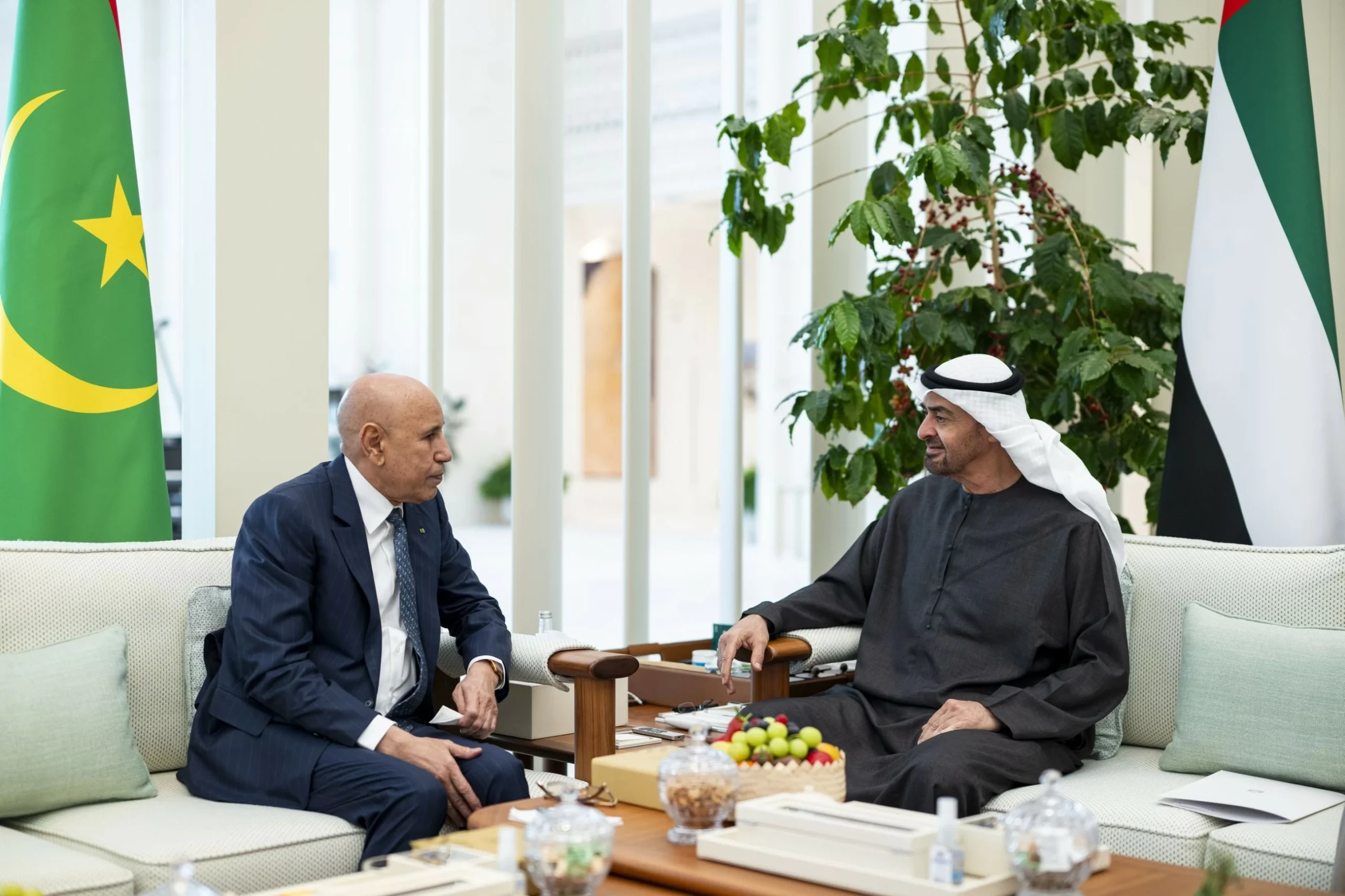 UAE, Mauritanian leaders discuss ties, regional issues