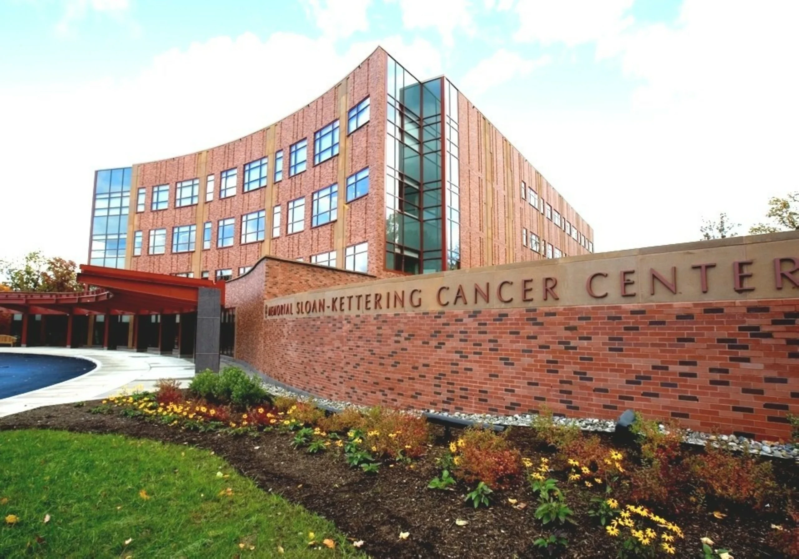 Study highlights more precise path for personalised cancer care