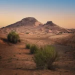 Global research institutions compete for Faya grants