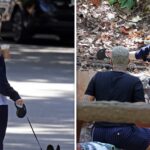 Dylan Sprouse’s Wife Barbara Palvin Spotted After Intruder Incident