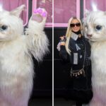 Paris Hilton’s Pussycat Pic — What’s The Big Frigin’ Difference?!
