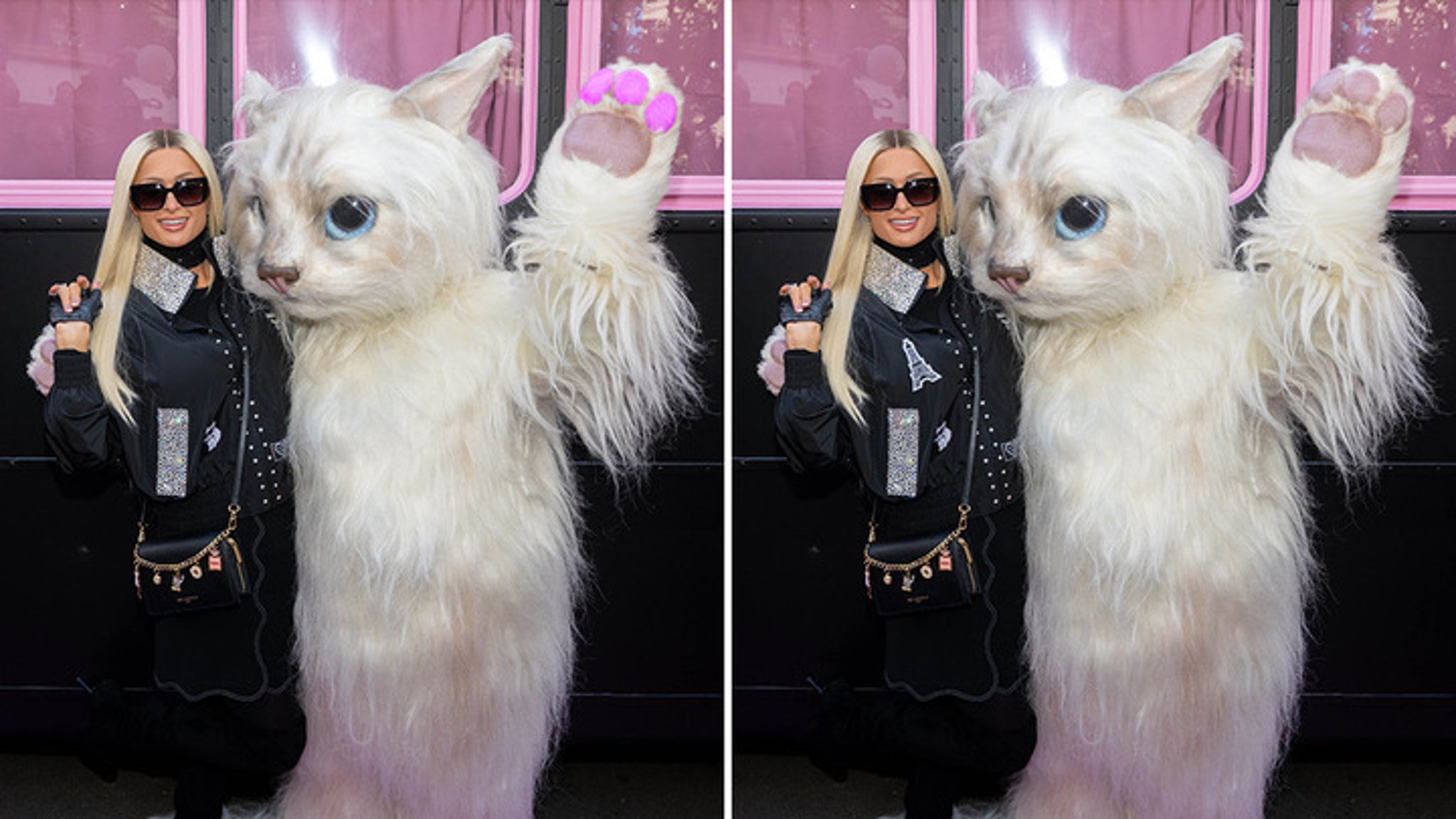 Paris Hilton’s Pussycat Pic — What’s The Big Frigin’ Difference?!