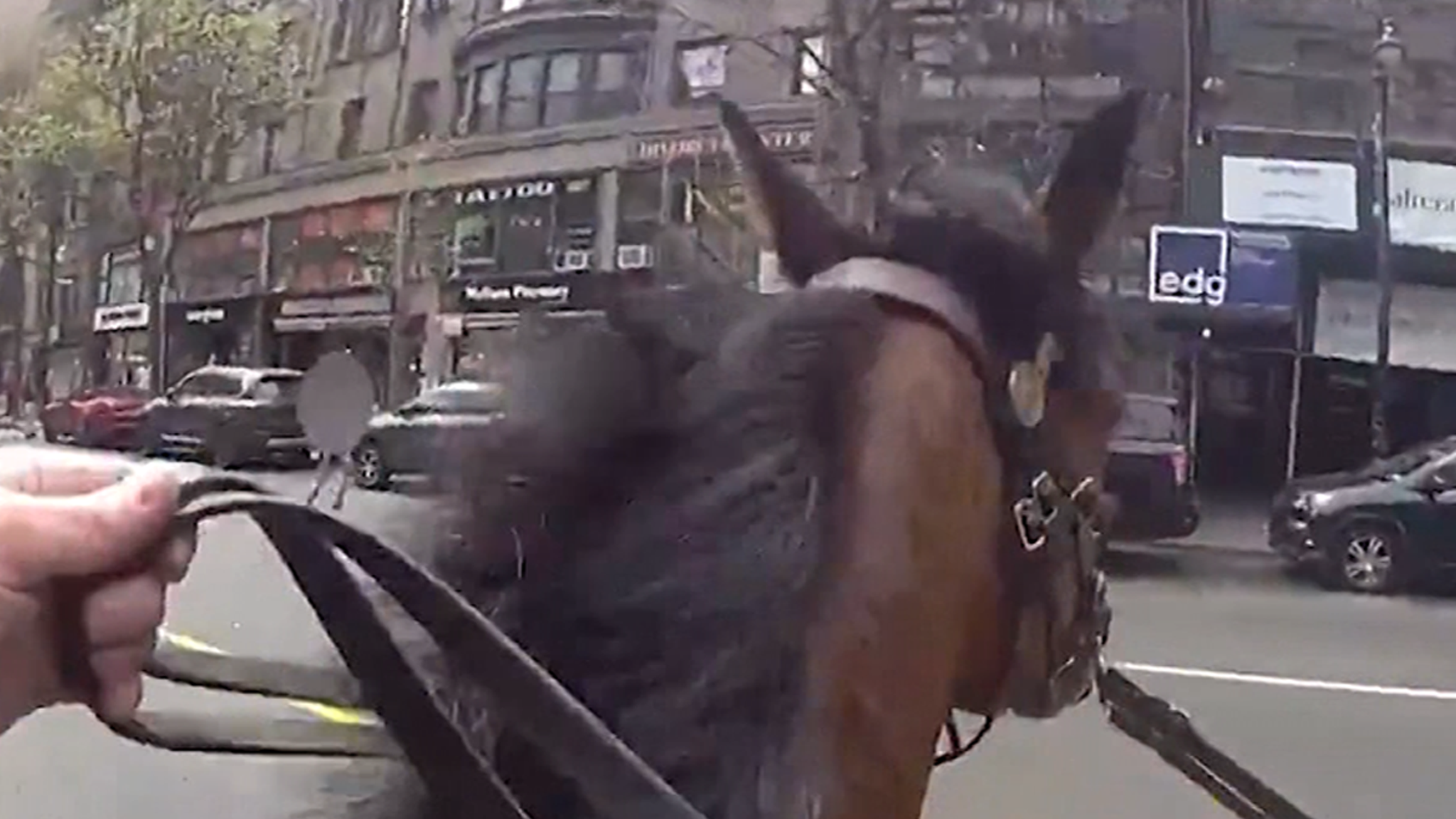Mounted NYPD Cop Pursues Purse Snatcher Down NYC Street, Watch Wild Video