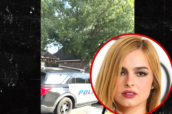 Cops Called to Addison Rae’s Dad’s Home, Cars Lined Up Outside, on Video