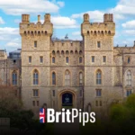 BritPips aims to appeal to traders seeking more structure and control