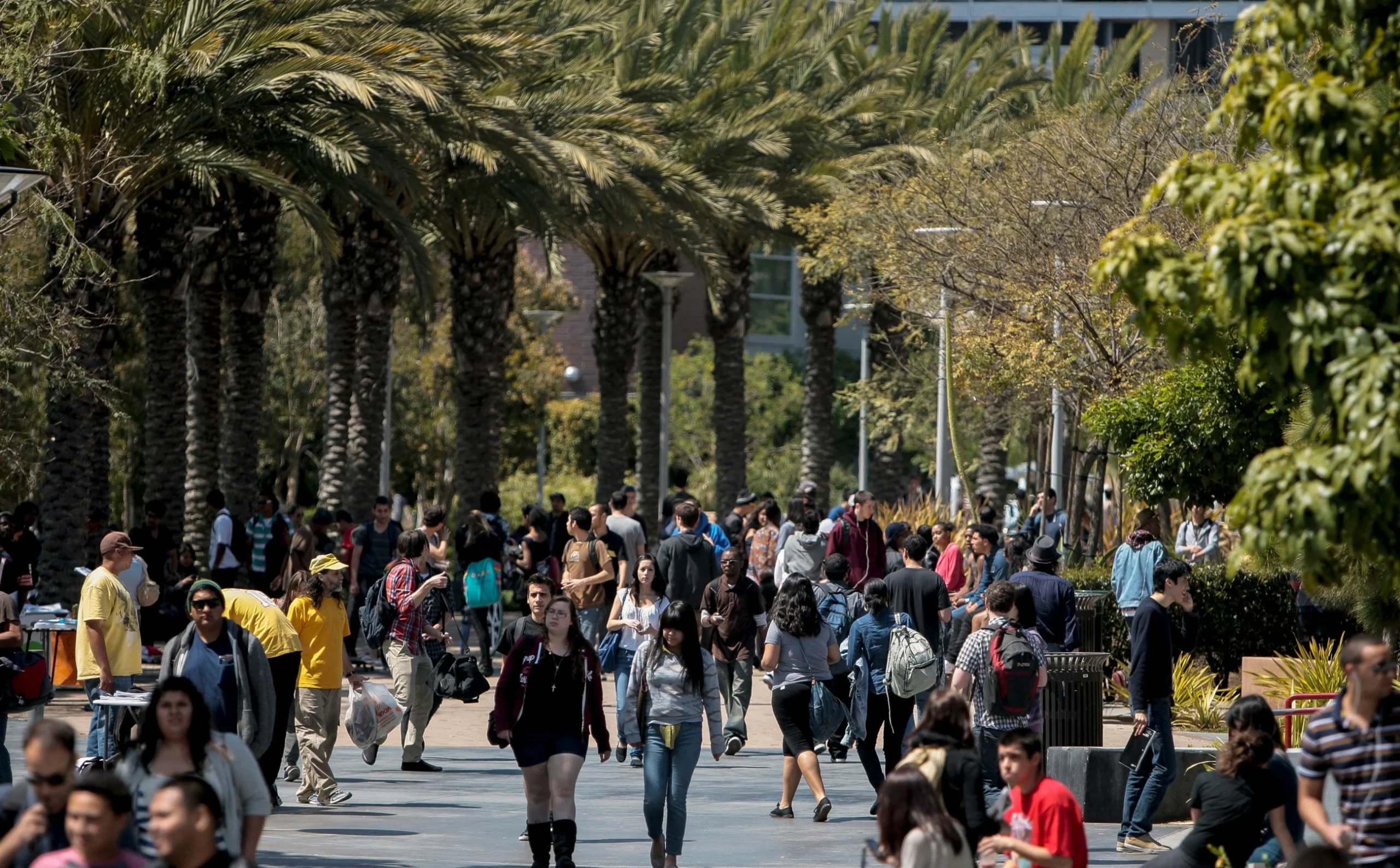 9,000 schools, universities worldwide affected in Canvas cyberattack