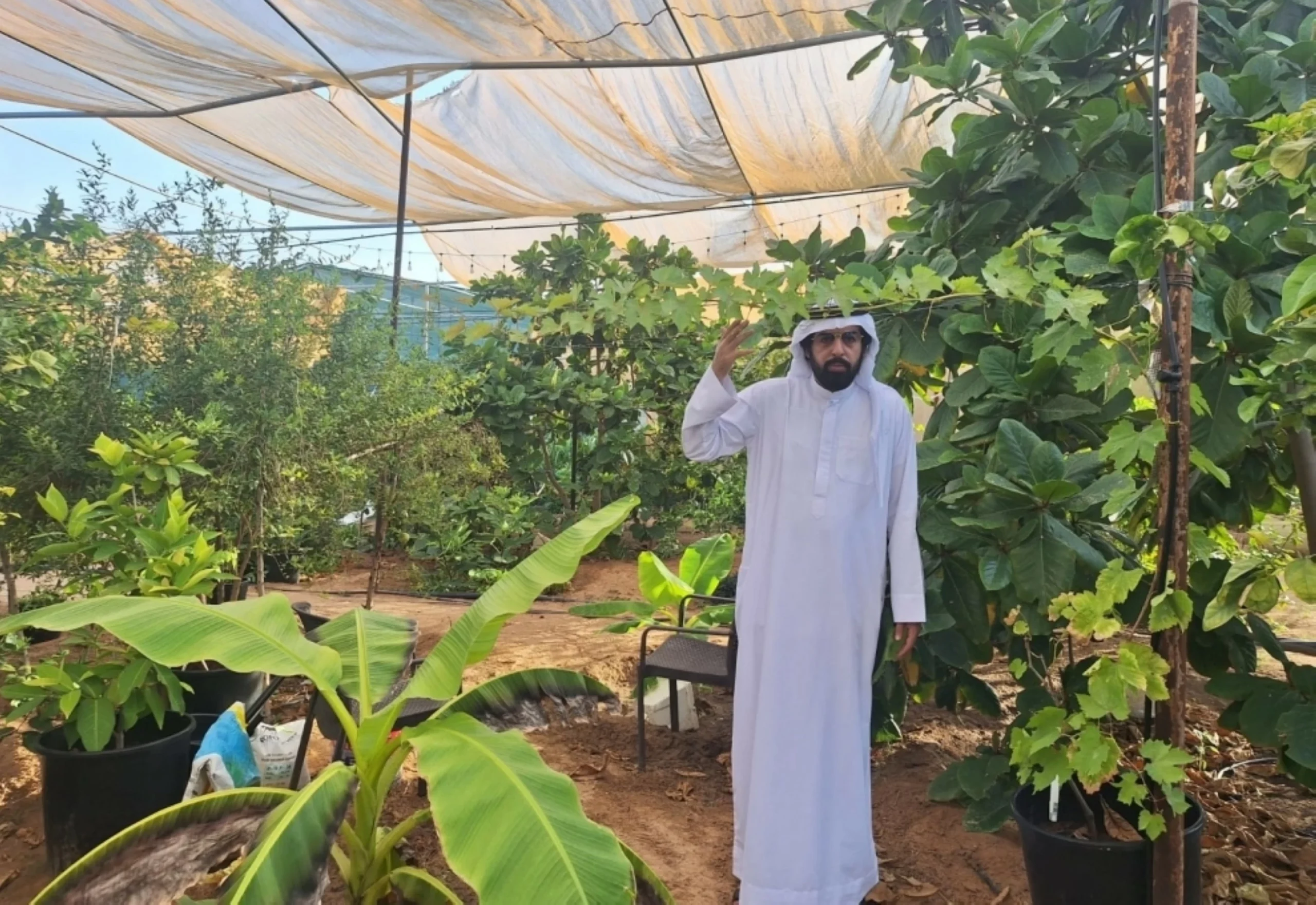 Emirati succeeds in cultivating and propagating non-nativ…