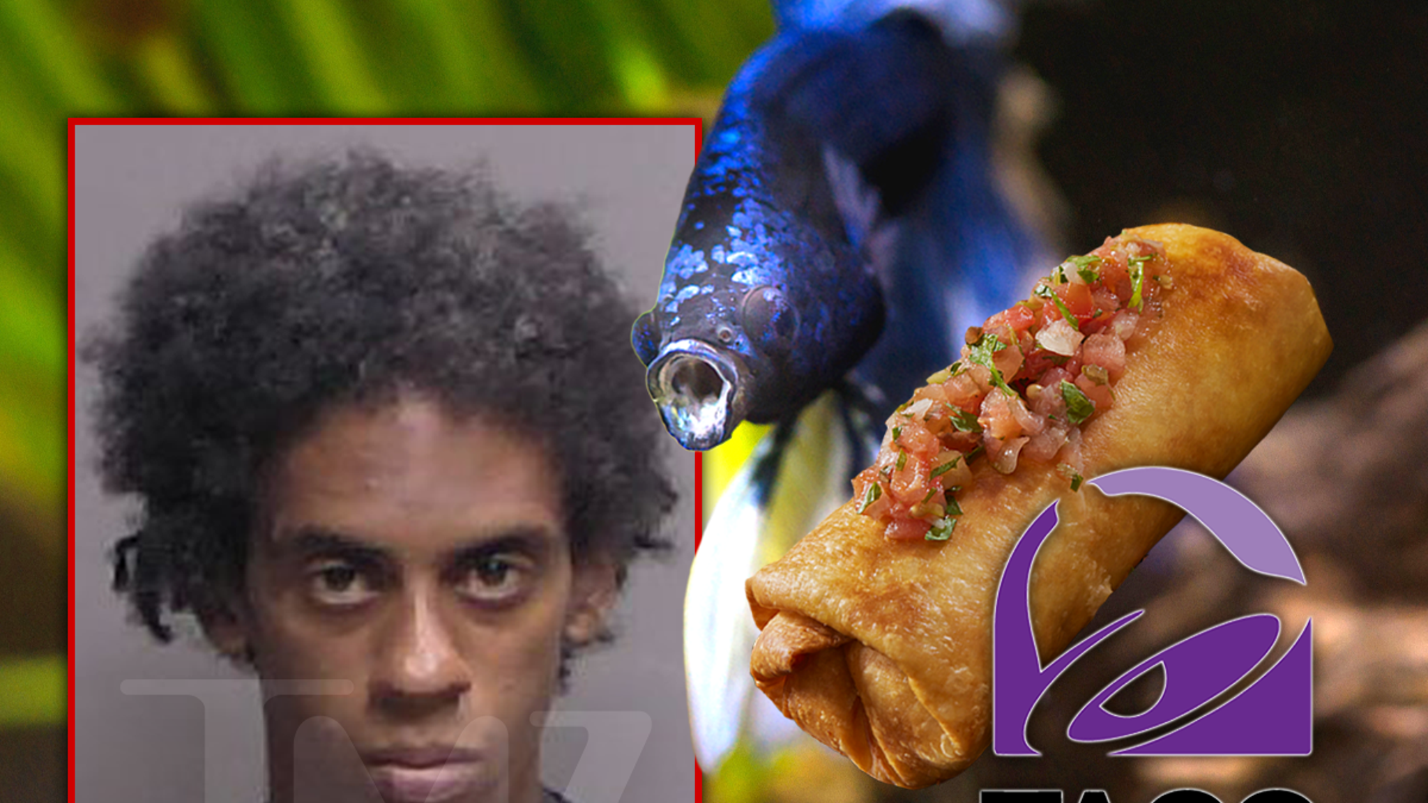 Cops Called On Florida Man Who Allegedly Had His ‘Chimichanga’ Out at Taco Bell