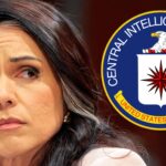 CIA Allegedly Seized JFK Files From Tulsi Gabbard’s Office, Whistleblower Claims