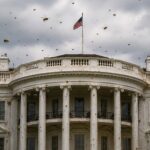 White House Overrun by Huge Swarm of Bees, Video Shows