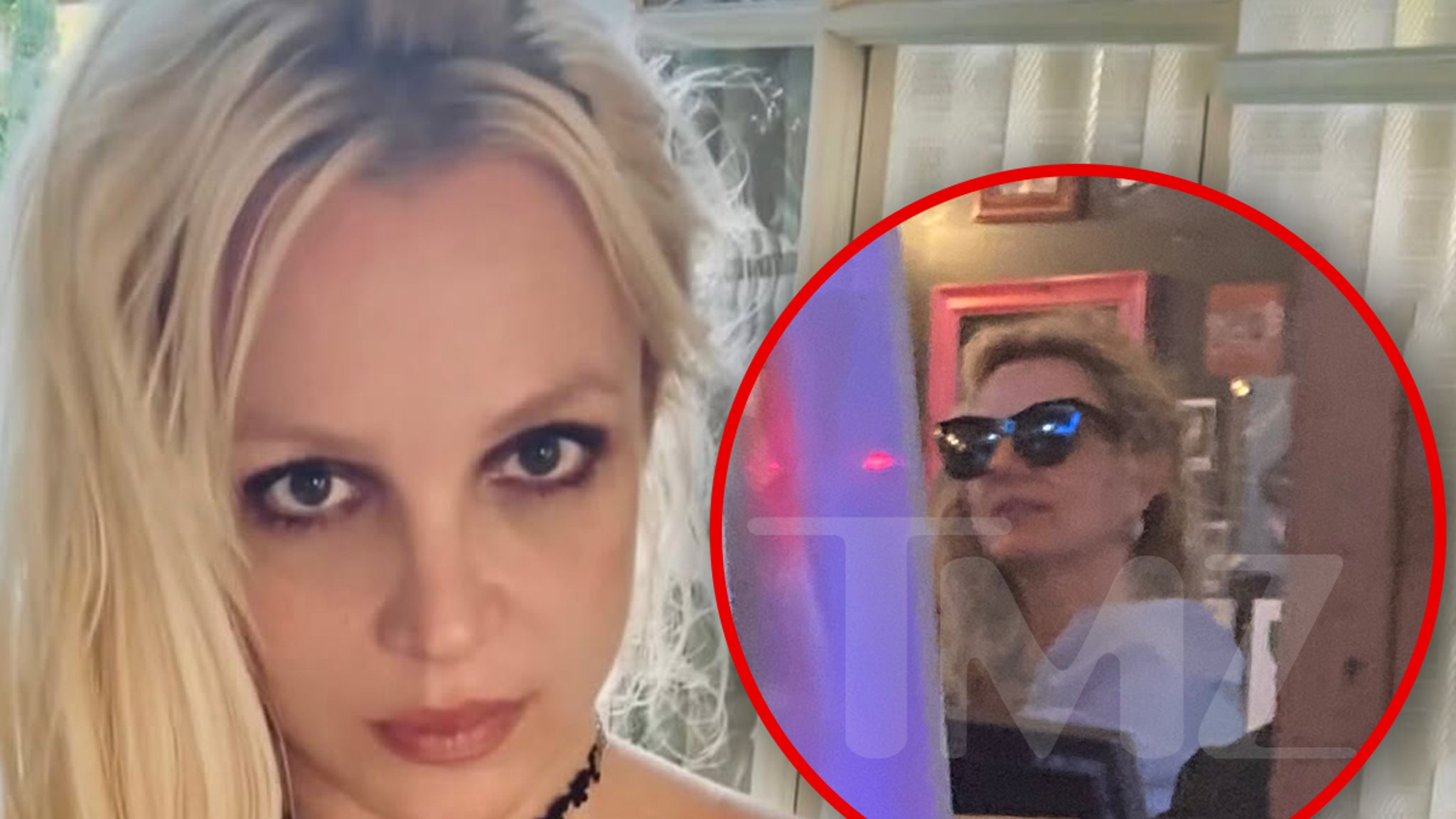 Britney Spears Barks, Wields Knife at Chaotic Dinner at L.A. Restaurant