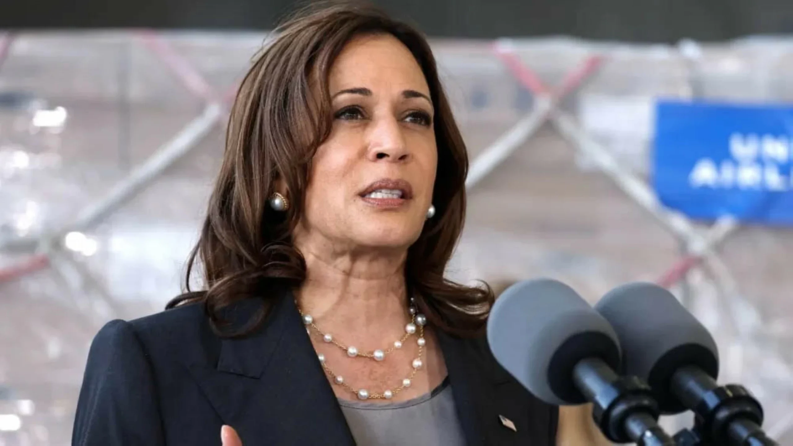 Democrats should stop navel-gazing, embrace the future
