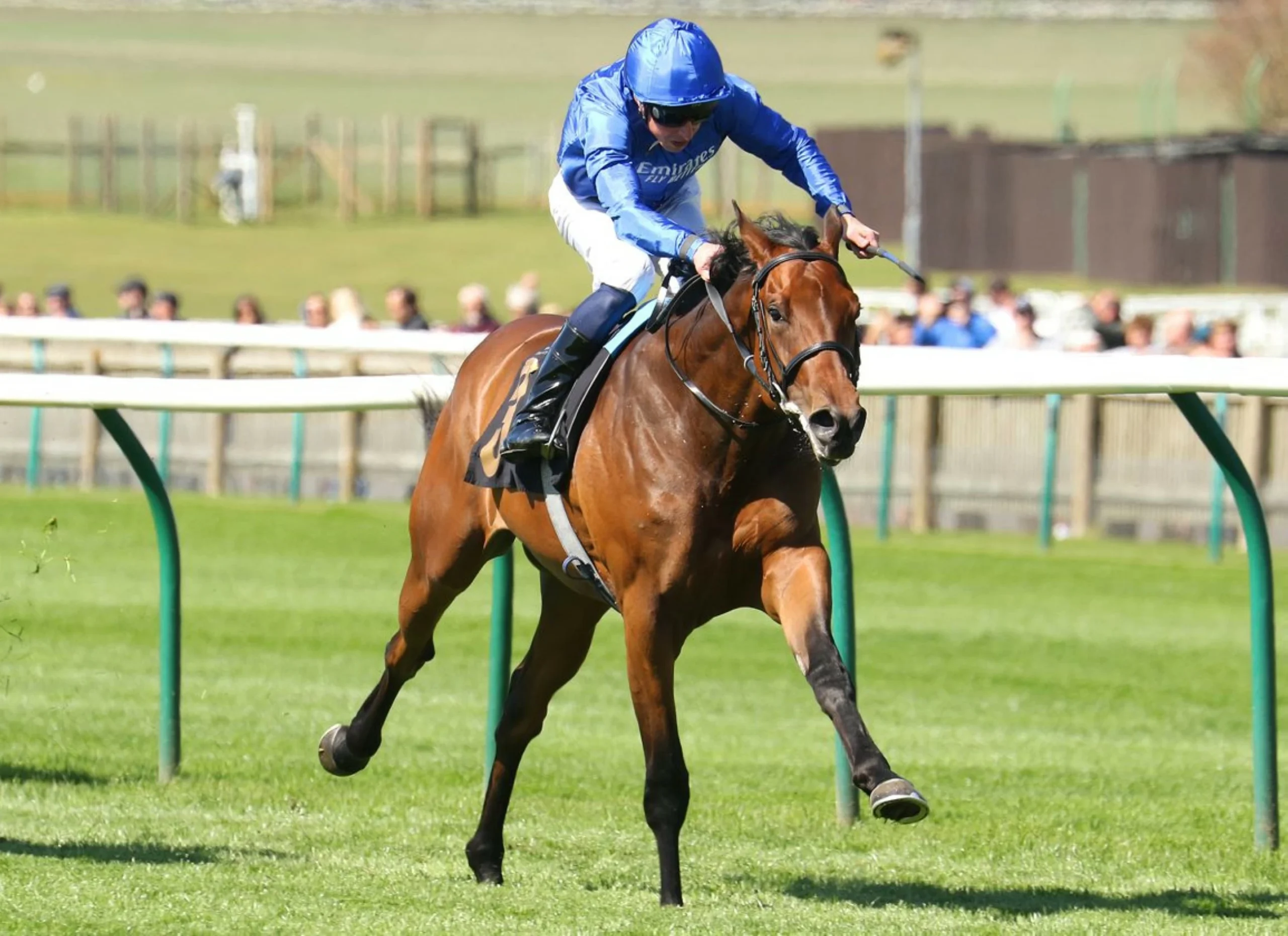 Words Of Truth and Military Code look to Scurry home at Sandown Park