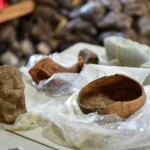 Archaeologists discover ‘never before seen’ pre-Hispanic …