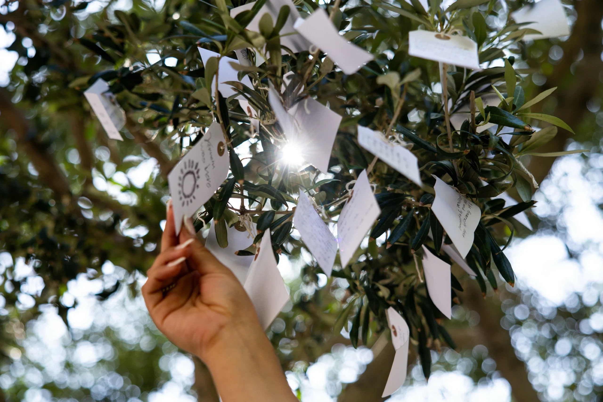 Visitors leave 500 wishes daily on Yoko Ono’s iconic Wish…