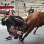 China’s bull wrestlers fight to keep tradition alive
