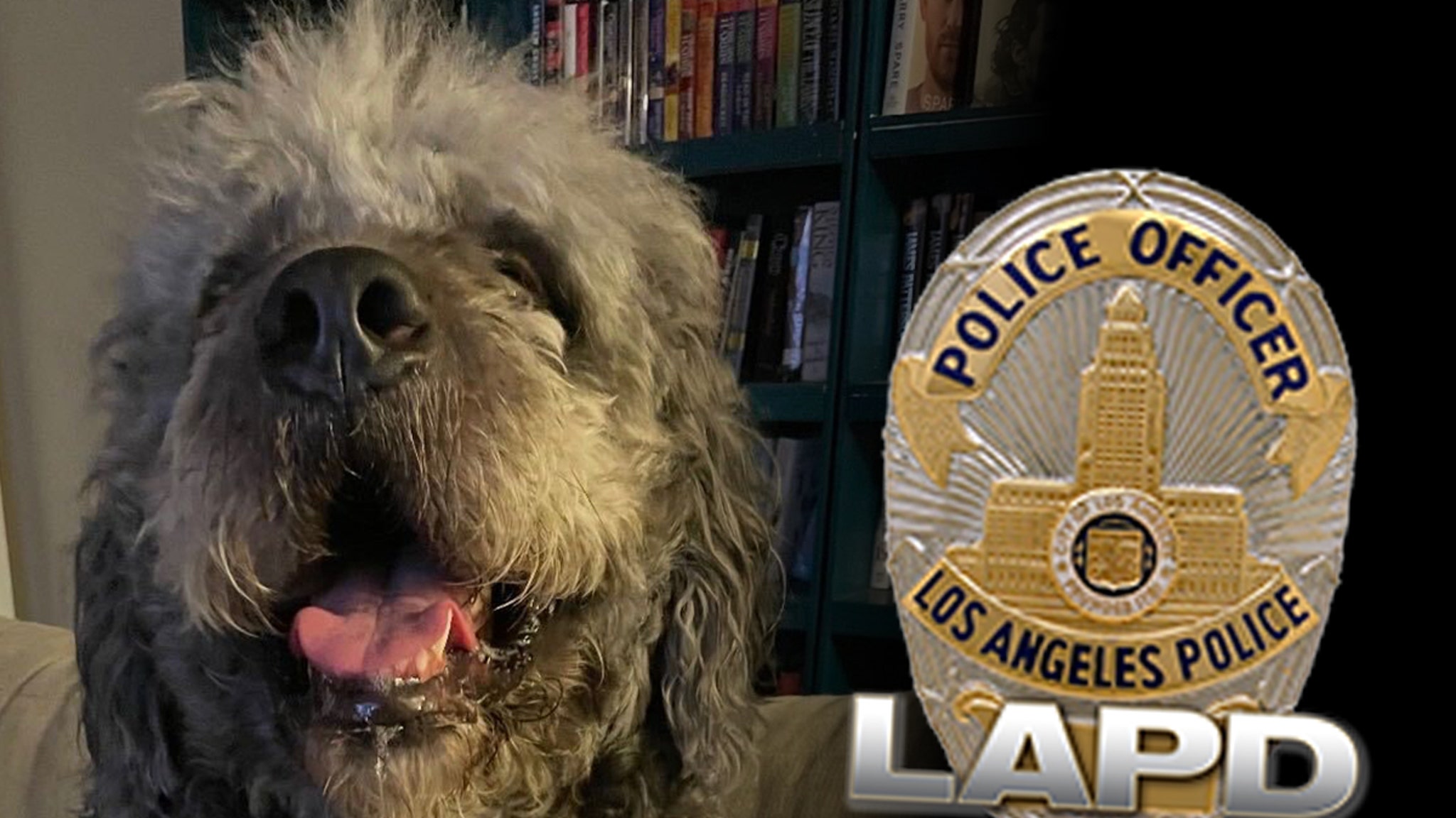 Family of Dog Killed by LAPD Slams ‘Reckless’ Officer After Bodycam Footage Released