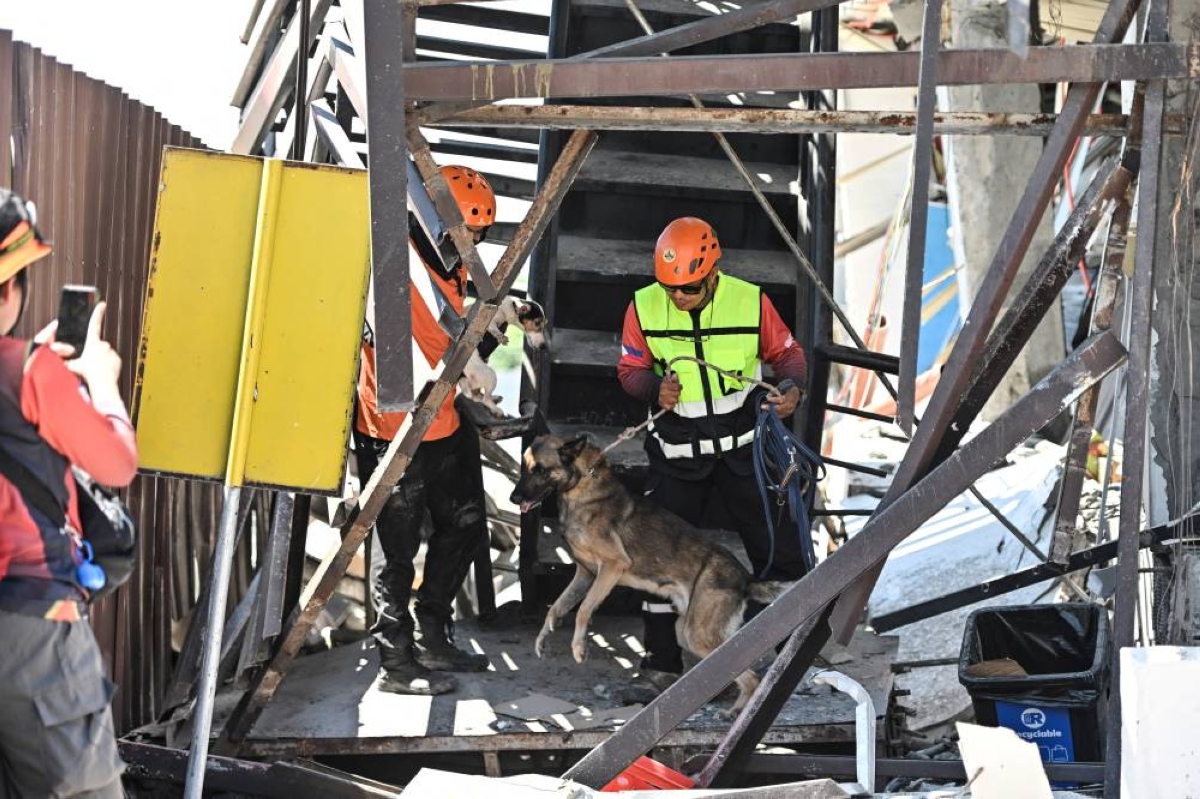 Southern Philippines earthquake leaves 41 dead, over 450 injured as rescue operations continue