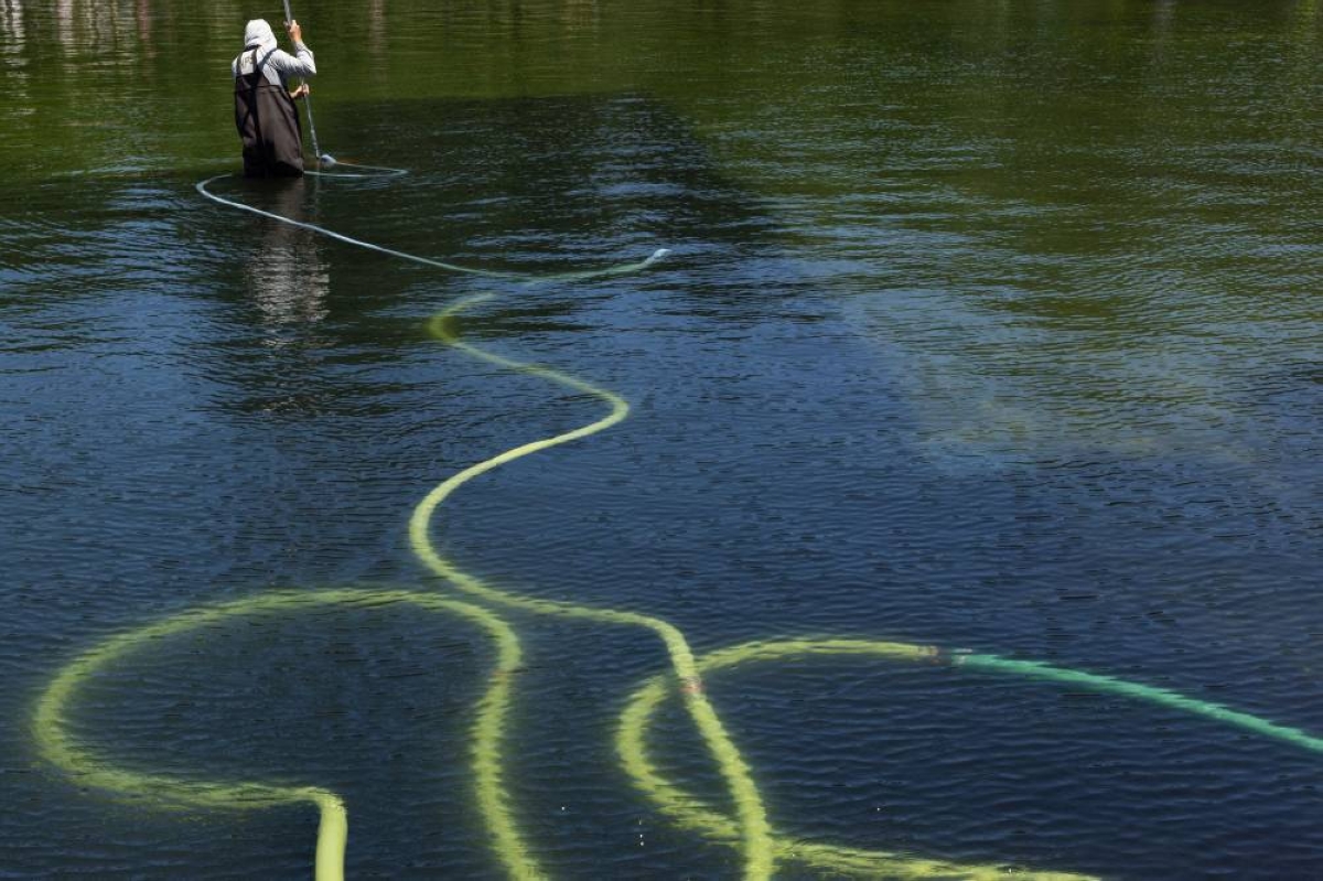 Trump blames ‘terrible vandals’ for Washington pool renovation woes