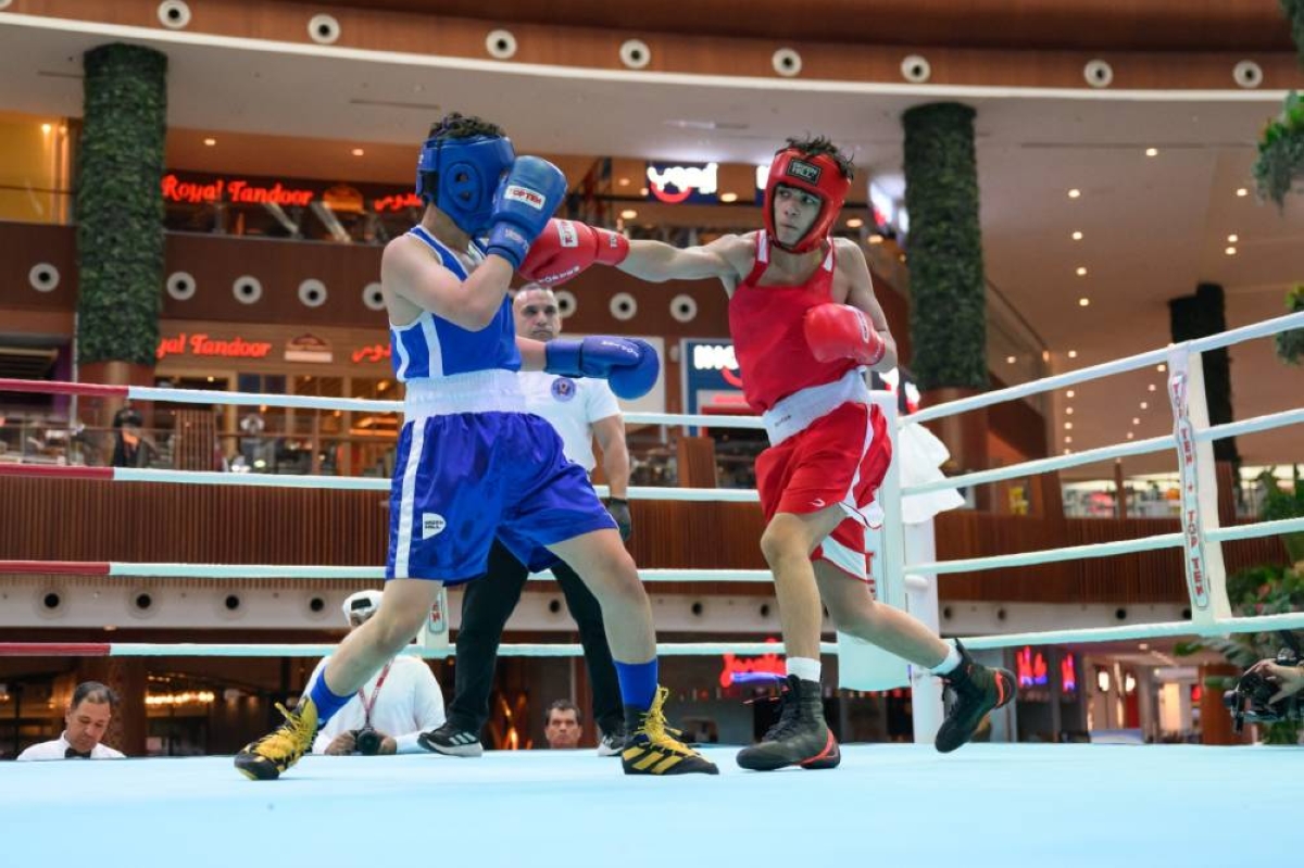Qatar Olympic Committee celebrates Olympic Day through Boxing