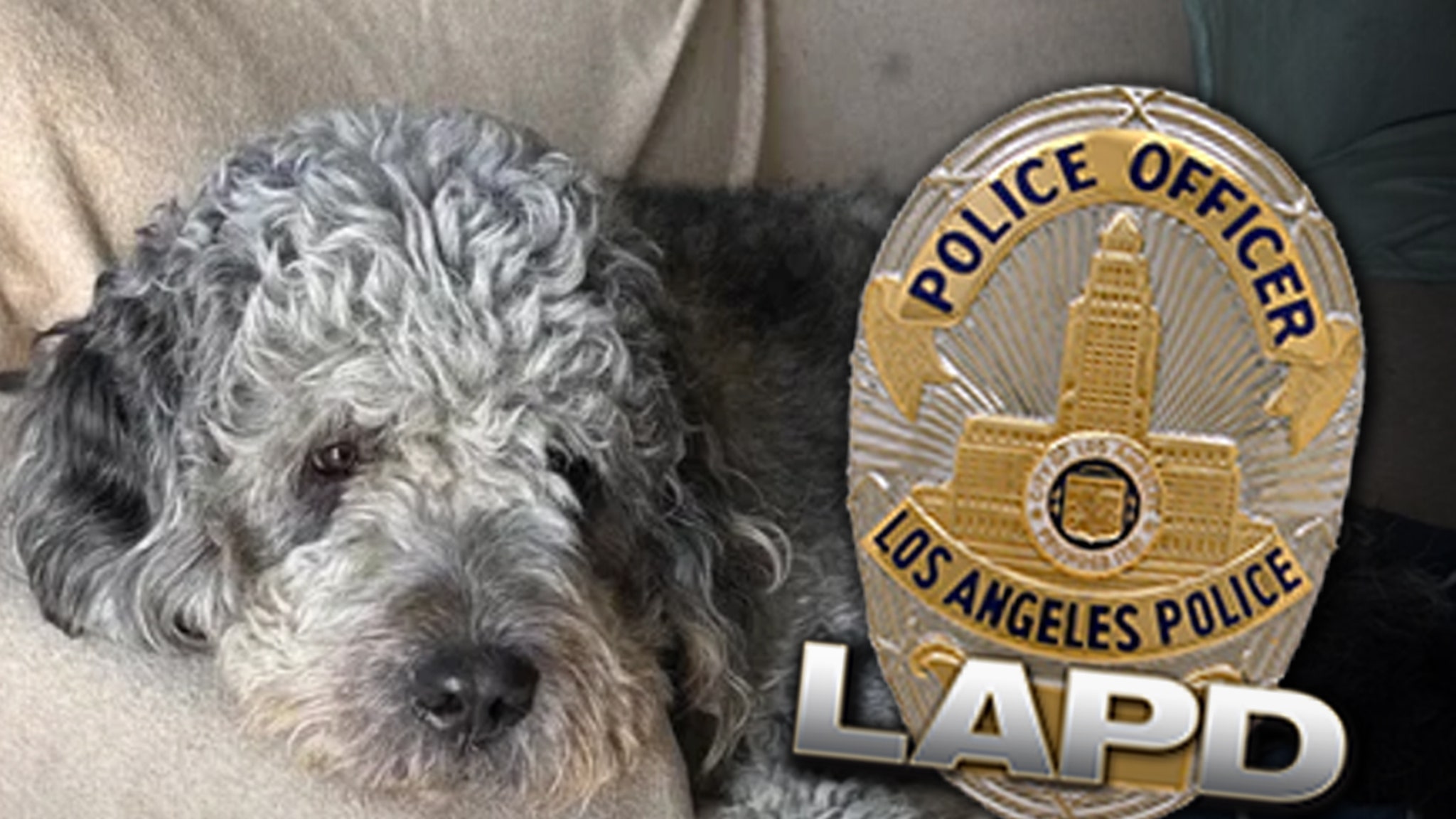 Family of Dog Killed by LAPD Will Sue if Not Handled ‘Appropriately’